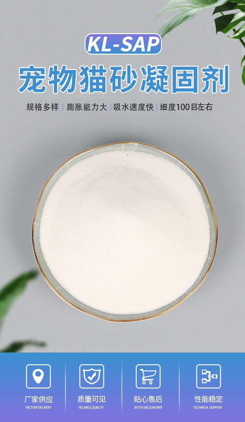 貓1.jpg